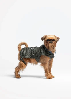 Liu Jo Imperméable réversible Pets|Femme Liu Jo Pets