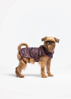 Liu Jo Imperméable réversible Pets|Femme Liu Jo Pets
